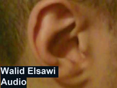Audio no. 1, Walid Elsawi, 2012