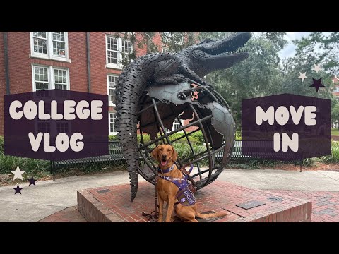 Moving into a College Dorm with my Service Dog