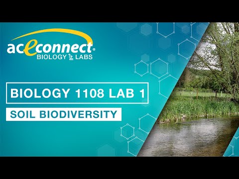 Biology 1108 Lab 1 || Soil Biodiversity