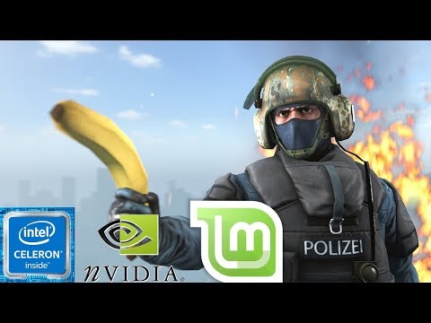 [Linux native gaming] gameplay Counter-Strike: Global Offensive celeron G3900 lga 775 GTX 750 1gb