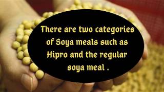 Buy Soybean Meal Online from Meal Brokers