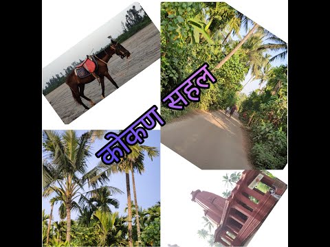 #kokan trip#