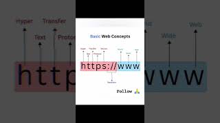 Learn web basics in seconds! Start your journey toward web development success with us. #learntocode
