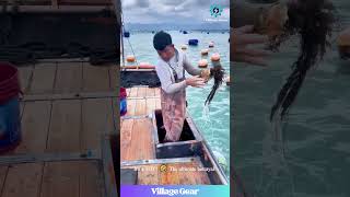 Fisherman Gets Pranked by a FAKE Fish... Then THIS Happens! 😂 #fishingfun #lol #comedy #unexpected