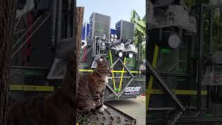 kaget cing 🤣 #djdanjikahatisudahtakmau #remix #dj #djceksoundterbarufullbass