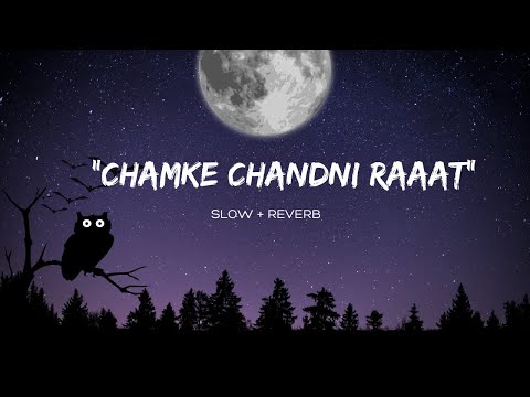 "CHAMKE CHANDANI RAAT" || Best || Romantic Lo-Fi Song || Send to your favourite one.