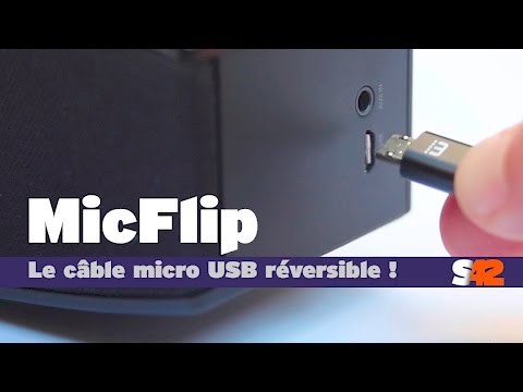 MicFlip