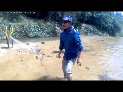 ikan masuk PERANGKAP....PADUU!!! (FISH COUGHT IN NET) sungai pahang