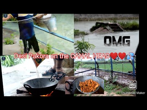 Pakora On The Canal Head Ujana......