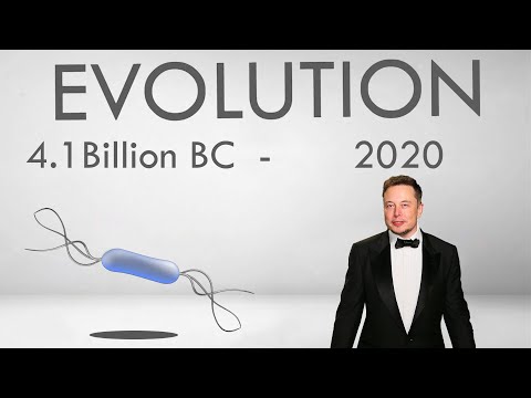 Human Evolution | 4.1 Billion BC - 2020