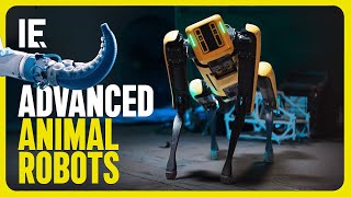 How Biomimicry is Revolutionizing Robotics