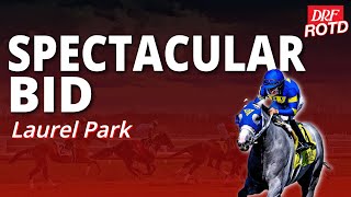 DRF Wednesday ROTD | Spectacular Bid Stakes @ Laurel | February 4, 2026