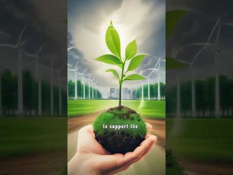 Malaysia's Largest Island State Aims to Become the Region's Green Battery
