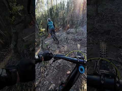 MTB @ Serra do Pilar #mtb #enduro
