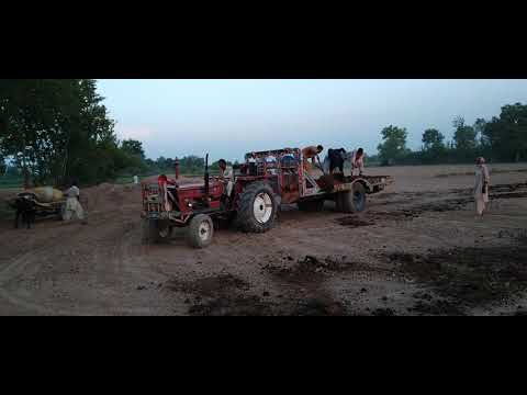 Desi Farming | village workers working in fields || pure punjabi culture