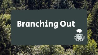 Branching Out