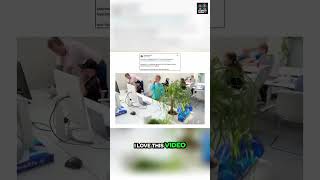 Kids Vibe Coding: The Future is Wholesome!