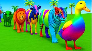 Long Slide Game With Elephant Gorilla Buffalo Hippopotamus Tiger 3d Animal Game Funny 3d Animals