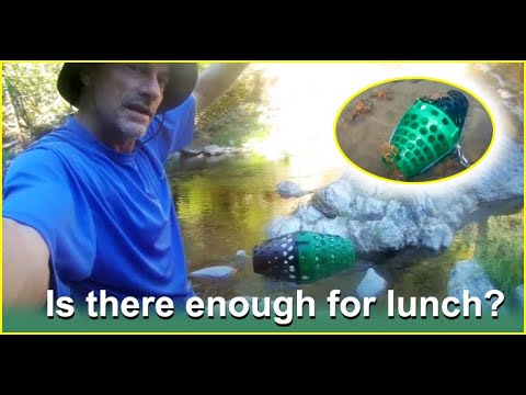 Does a 3D Printed Crawfish Trap Really Work? | Let's find out | GoldiBox Prospecting |