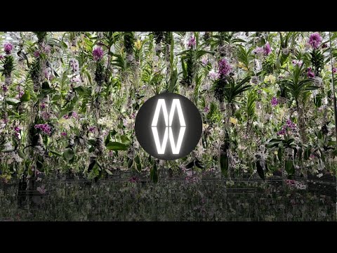 Floating ORCHID Forest – Living Art Garden | teamLab Planets Tokyo