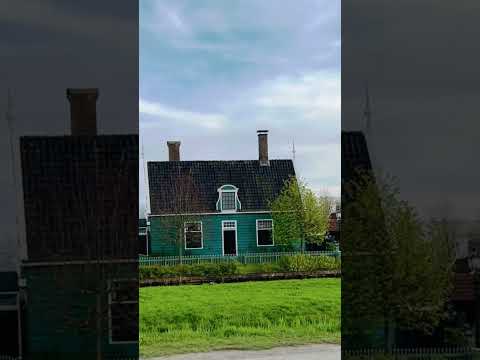 Zaanse Schans: Netherland's Beauty #nature #ytshorts #netherlands #shorts #youtubeshorts #dutch #fun