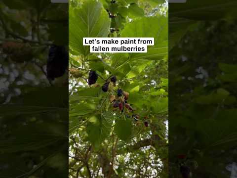 Homemade mulberry paint 🍇👩🏽‍🎨 #foraging #natureart #berry #homemade  #embroidery #arttutorial