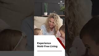 Experience the Transformation: From Mold Danger to Safety