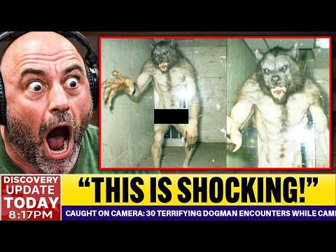 CAUGHT ON CAMERA: 30 Terrifying DOGMAN Encounters While Camping — Scientists Are Shocked