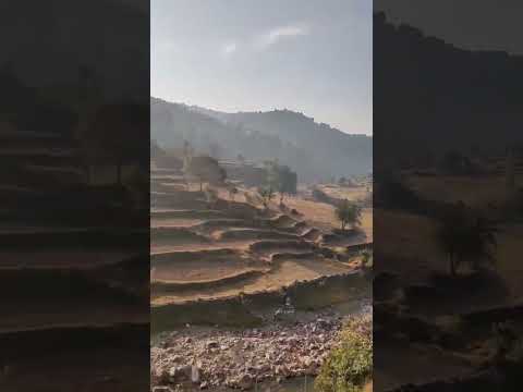 #morning #morningviews #song #relaxing #relaxingmusic #view #views