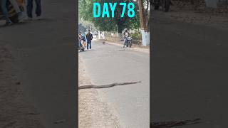 PYTHON IN THE CAMPUS || END SEM EXAM START TODAY ||DAY78||#day78#engineering#endsemexam#python#snake