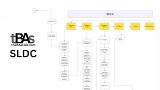 How Business Analyst act at every stage of SDLC Part - 1| #sdlc #businessanalytics #businessanalysis