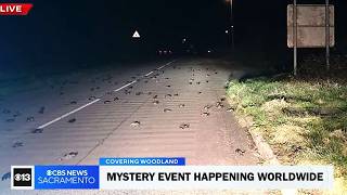 Something APOCALYPTIC Is Happening Worldwide It Has Begun..