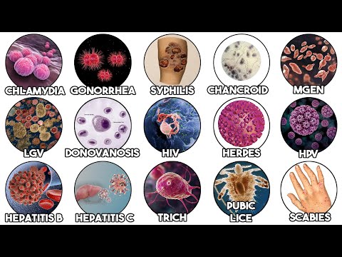 Every STD Explained