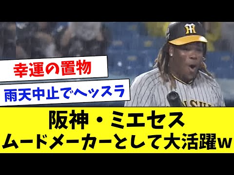【阪神】幸運の置物ミエセス！ムードメーカーとしての活躍を振り返るwww