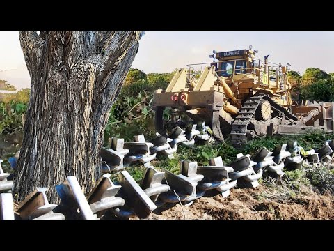 Amazing Clearing Wooded Land with Anchor Chain and Bulldozer