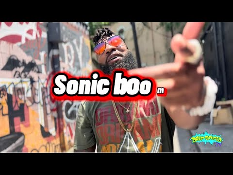 Mr. Origami-crane  ( Sonic boom )