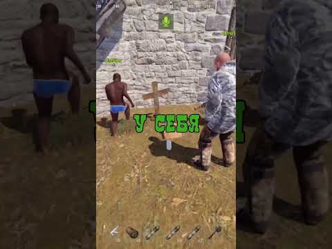 ГРУСТНАЯ ИСТОРИЯ О ЛОШАДКЕ которая превратилась в хоррор В РАСТ в rust #rust #раст