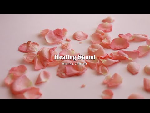 Healing Piano for Your Weary Day 🌿 Emotion-Charging ASMR BGM