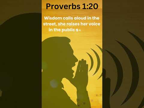 Day 20 Daily Proverbs: Wisdom Is Calling — Are You Listening? | Proverbs 1:20 #faith #bibleverse