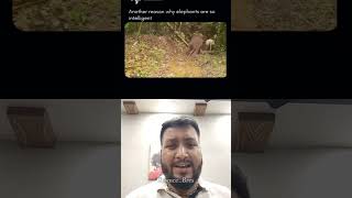 ELEPHANTS are GENIUS!!! #physicsinaction#elephant #animals