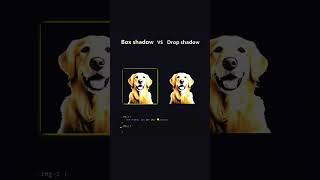 "Box-Shadow vs Drop-Shadow: CSS Styling Showdown!"#shorts #coding #tips #css #webdevelopment #style