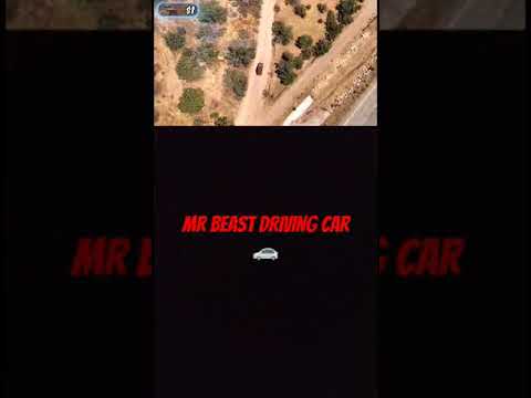 MR BEAST DRIVING CAR