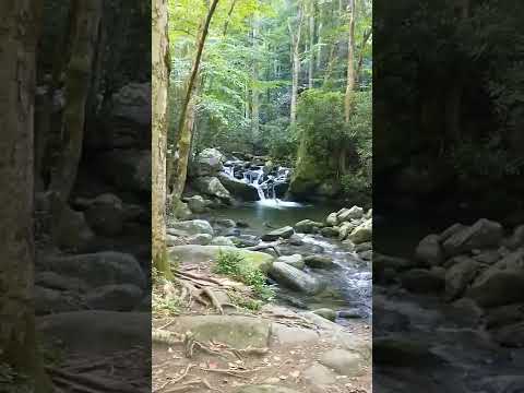 The Stream on the Pink Jeep Tour.