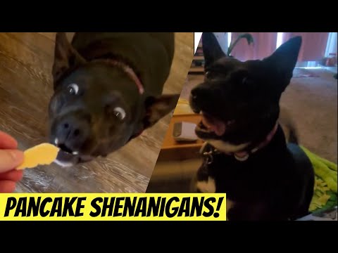 Pancake Shenanigans!