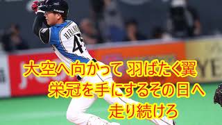 平沼翔太選手応援歌(北海道日本ハムファイターズ)