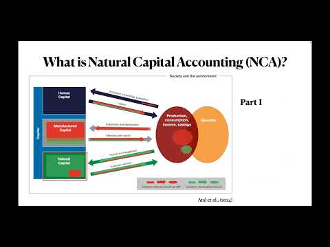 Louis Chua Dissertation Proposal