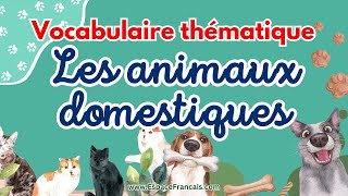 Les animaux domestiques 🐾 Vocabulaire thématique + Quiz