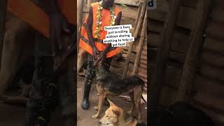 Gofundme and PayPal donation links in bio to help