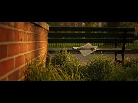 Relaxing with Quiet Jazz Instrumental | 1 Hour ✨