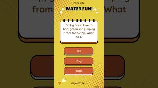 Pond Life  -  Water Fun! #riddle #fun #trending